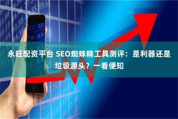 永旺配资平台 SEO蜘蛛精工具测评：是利器还是垃圾源头？一看便知