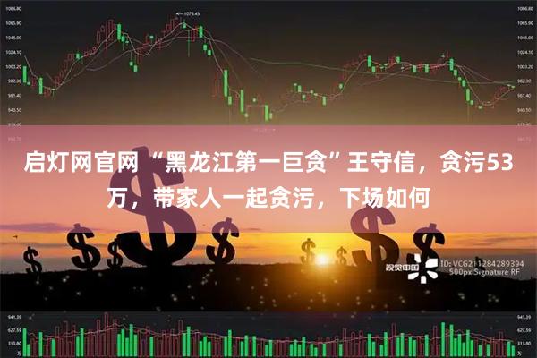 启灯网官网 “黑龙江第一巨贪”王守信，贪污53万，带家人一起贪污，下场如何