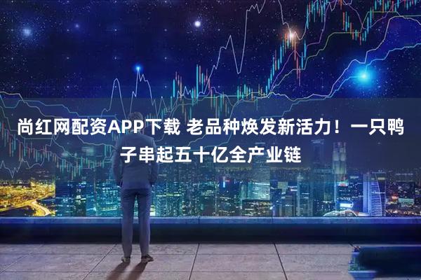 尚红网配资APP下载 老品种焕发新活力！一只鸭子串起五十亿全产业链